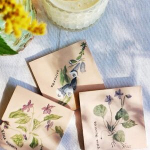 Set de azulejos Flores silvestres